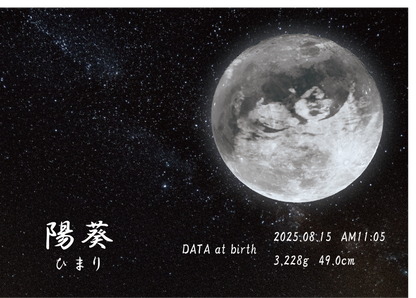 【命名書】エコーバースアート　星空 -side name-「エコー写真１枚」